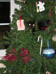 How To Keep Cats Out Of Christmas Tree How To Keep Cats Out Of The Christmas Tree Finger Click Saver