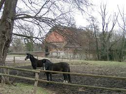 Gibt es geister im haus? Foto Haus Geist 09 Jpg Haus Geist Oelde