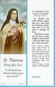 Novena To The Little Flower Catholic Prayers St Therese Of Lisieux Saint Quotes