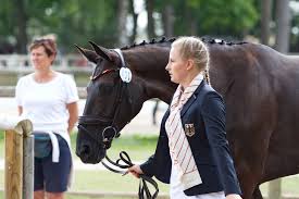 We did not find results for: Vielseitigkeitsreiten Emma Brussau Holt Silber Im Busch Regionalsport Rnz
