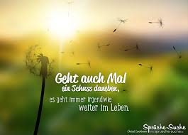 So kann man auch abends länger noch drau¬ßen spielen und wach bleiben. Motivationsspruche Mit Pusteblume Es Geht Immer Irgendwie Weiter Im Leben Spruche Suche