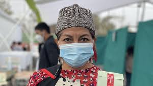 Check spelling or type a new query. Constituyente Mapuche Con Dos Doctorados El Perfil De Elisa Loncon Antilleo La Presidenta De La Convencion Emol Com
