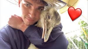 Maya and Urban Rescue Ranch collab? Apparently they live in Texas too. :  r/mayahiga