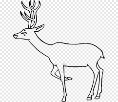 For you to know, there is another 18 similar pictures of elk hunting coloring pages that webster runolfsdottir uploaded you can see below Elk Deer Train Coloring Book Train Drawings For Kids Antler White Png Pngegg