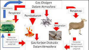 Mui hong teh 4 months ago. Explore To Koh S Science World Blog Sains Kitar Karbon Dan Kitar Oksigen