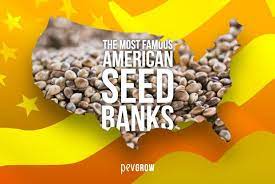 Most seed banks we've used and recommended are located in the u.k., netherlands, or spain. American Seed Banks U S A U S A