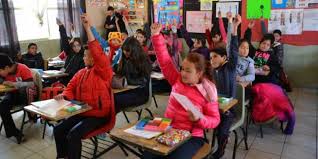 Traducir primarias significado primarias traducción de primarias sinónimos información sobre primarias en el diccionario y enciclopedia en línea gratuito. Escuelas Primarias En Chihuahua Las Mejores Escuelas 2021