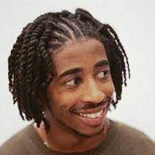 25 Different And Latest Hairstyles For Men With Black Hair Dreadlock Hairstyles For Men Twist Braid Hairstyles Mens Braids Hairstyles