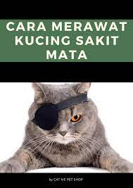 Tips mengatasi kucing terkena sakit mata selanjutnya adalah dengan cara memberikan obat, apabila terlihat mata kucing sudah tertutup karena belekan (termasuk ketep). Cat Me Cara Merawat Kucing Yang Sakit Mata Di Rumah Facebook