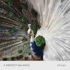 Like Birds Of A Feather True Color And Whiteness Rendering Go Hand In Hand We Are On A Mission To Unleash The Bea Albino Peacock Cute Cats And Dogs Albino