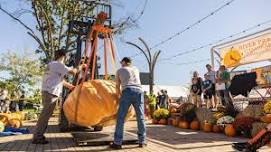 Ginormous Pumkin Festival