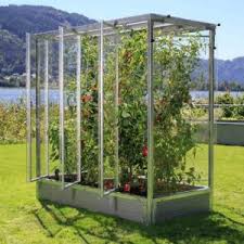 Tomatenhaus Fur Ertragreiche Tomatenernten Tomaten Haus Tomatenhaus Tomaten Gewachshaus