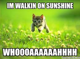 Sunshine Memes
