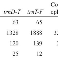 Image result for Cryptolepis cryptolepioides