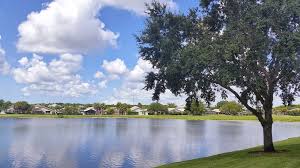 17071 ashcomb way, estero, fl 33928. Estero Florida Homes For Sale In Estero Florida