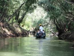 Include un acvariu ce prezinta diferite specii de pesti din delta dunarii dar si exemplare exotice);istorie si arheologie. Ziua Rezervatiei Biosferei Delta Dunarii Ecomagazin Ro