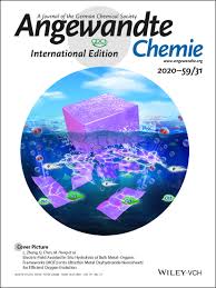 Dec 14, 2020 · story: Angewandte Chemie International Edition Vol 59 No 31