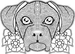Cute dogs, pretty doggies, of a dog, doggies, small dogs, funny dogs, cutest dogs, dogy, dog picturesreal dogs, doge, real dog coloring, of a dog, dogy, dog colorpagecute dog. Pin On Tekening Maken
