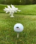 Golf Tournaments In Deerbrook | AllEvents.in