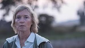 The Hunt for a Killer (TV Mini Series 2020)