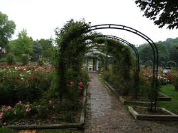 Syracuse is a city in central new york. Dr E M Mills Rose Garden Is Located In Thornden Park Syracuse Ny Garden Arch Syracuse Outdoor