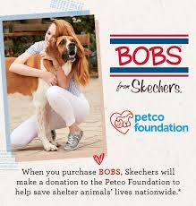 skechers bobs for dogs partners with petco