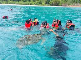 Check spelling or type a new query. Jeti Ke Pulau Redang Dari Jeti Merang Merang Waterfront Jetty