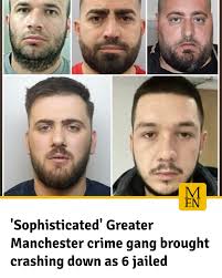 These individuals were part of a sophisticated network profiting from  large-scale cannabis production'