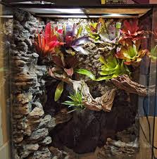 Pin On Vivarium Terrarium