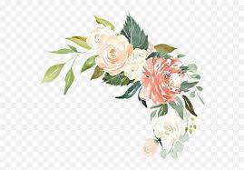 Blush pink watercolor flowers png. Watercolor Flowers Floral Bouquet Arrangement Blush Pea Cream Rose Watercolor Png Watercolor Flowers Transparent Background Free Transparent Png Images Pngaaa Com