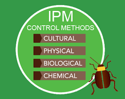 Integrated pest management (ipm) originated following world war ii as a coordinated and scientific approach to management and control of agricultural pests. Croplife Europe On Twitter Integrated Pest Management Uses A Range Of Pest Management Tools Such As Chemical Solutions Or Biopesticides Its System Of Pest Prevention Pest Monitoring And Intervention When Necessary Ipm