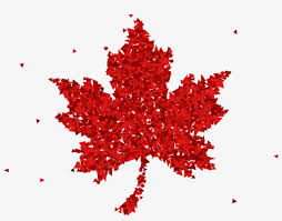 Red Maple Leaf Png Download Happy Canada Day 150 Free Transparent Png Download Pngkey Find & download free graphic resources for canada maple leaf. red maple leaf png download happy