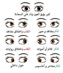 تحليل الشخصية في علم النفس وعلاقة لغة الجسد في إكتشافها