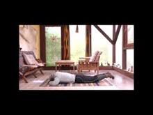 Yoga equipment and healthy food. Yoga Print Version Wikibooks Open Books For An Open World