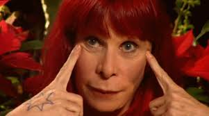 In-Edit Brasil celebra 15 anos!! Tom Jobim, Elis Regina, Miúcha, Villa  Lobos, Pink Floyd e Syd Barret, Scorsese, e muito mais