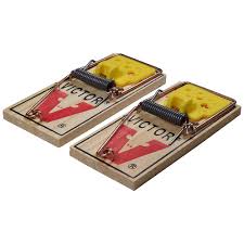 The mousetrap is a murder mystery play by agatha christie. Victor 2 Pack Easy Set Mouse Trap The Home Depot Canada
