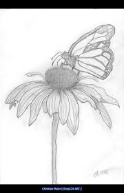 Butterfly On Flower Jpg 708 1100 Flower Sketches Flower Drawing Flower Art Drawing Everyone loves flowers and everyone loves to draw, paint, embroider etcetera flowers. flower sketches flower drawing