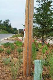 Ground Wire Molding Electrical Materials Company Garden Arch Plants Molding