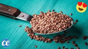 On Consomme Les Graines De Lin Depuis Plus De 6 000 Ans Elles Sont Tres Prisees Depuis L Antiquite Et Restent L Un Des Aliments Les Plus Cultives Au Monde Les In 2020