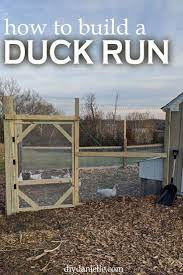 Perhaps more so than when building a chicken coop, the #1 thing you should keep in mind with your duck house is it needs to be safe from predators. Pin On For The Love Of Ducks