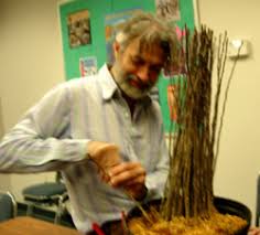 There are only a few rootstocks that will dwarf a fruit tree to 6 feet high or less without a lot of pruning. Fruit Tree Rootstock For Sale Burnt Ridge Nursery Buy Rootstocks Online Grafting Propagation