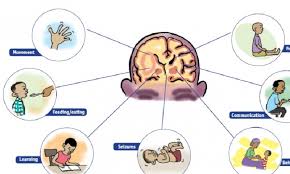 Cerebral Palsy Introduction Physiopedia