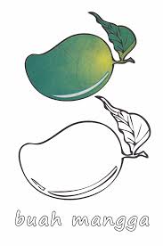 Apakah anda mencari gambar desain sikat sketsa template psd atau file vektor? Buah Mangga Png 1062 1600 Buah Sketsa Gambar