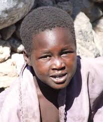 Framework for strengthening Integrated Vector Management in malaria control  programmes