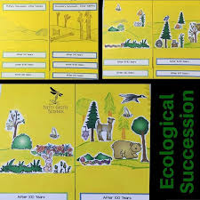 Students Will Be Able To Compare And Contrast Between Primary And Secondary Successio Secondary Science Classroom High School Science Teacher Secondary Science