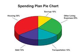 Spending Plan Pie Chart I Love That Discover Does This For