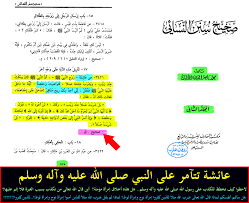 صواعق الجبار في أن عائشة سيدة أهل النار