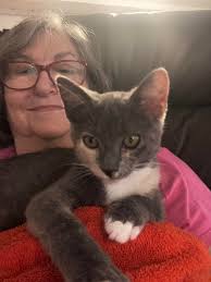 Rutherford is the only cat I've known who always wants contact ! Hand,  wrist, thigh, whatever's available 😺 iPhone 14 PM, portrait mode.