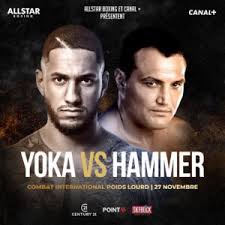 The boxer his starsign is taurus and he is now 29 years of age. Tony Yoka Vs Christian Hammer Set For Nov 27th Boxen247 Com