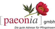 Pfingstrosen als pflanzen jetzt einfach und günstig online kaufen und bestellen. Paeonia Eine Weitere Wordpress Website